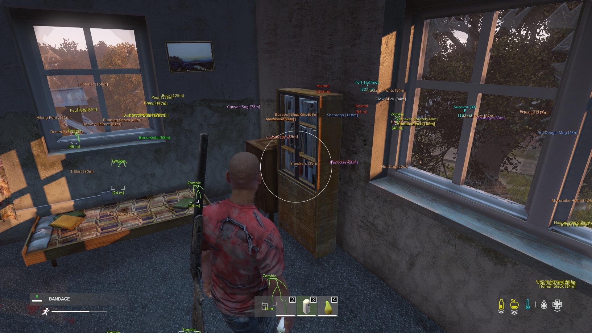 dayz cheat screenshot 3